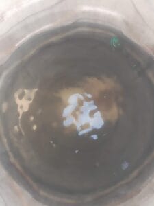 tank before cleaning